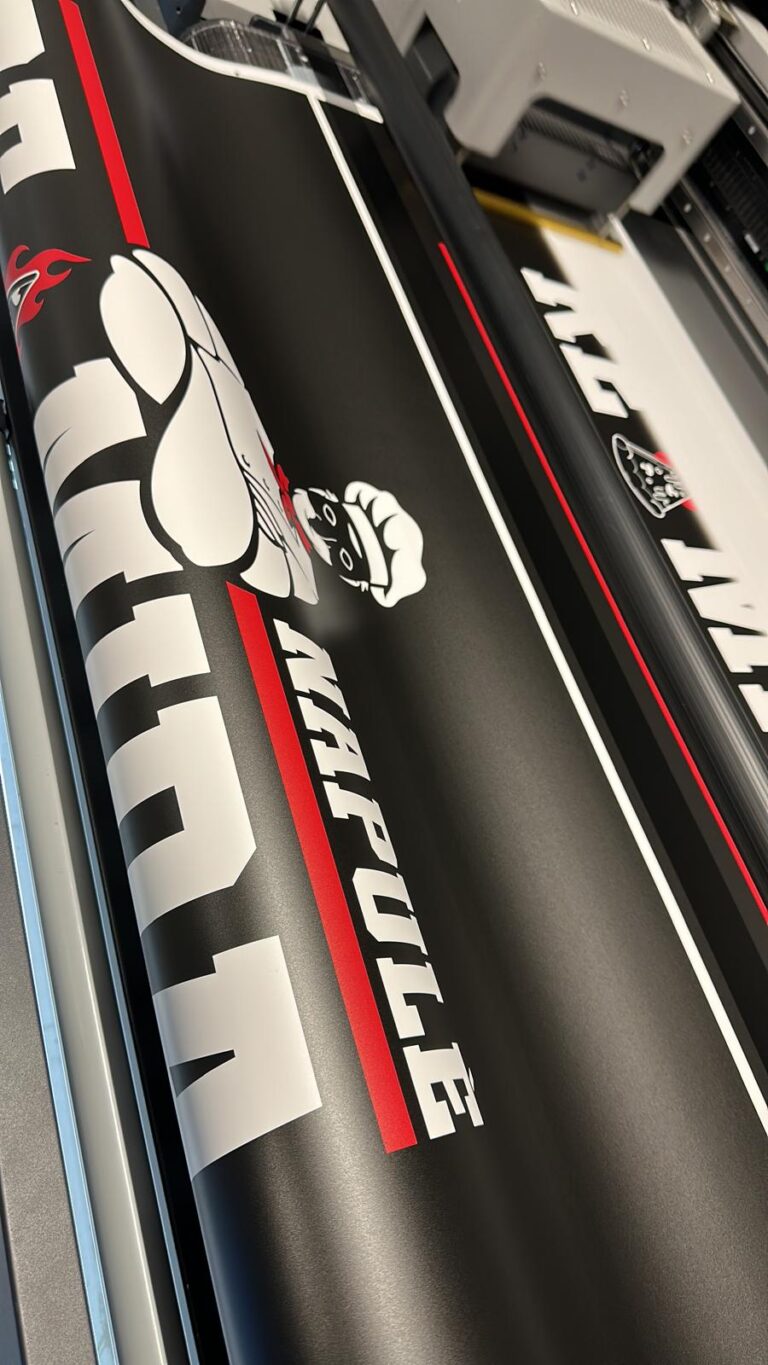 Traslucente_stampato